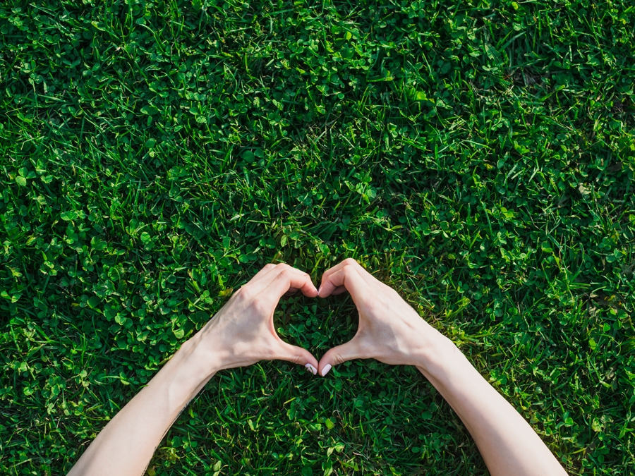 Mano de mujer haciendo forma de corazón sobre hierba verde